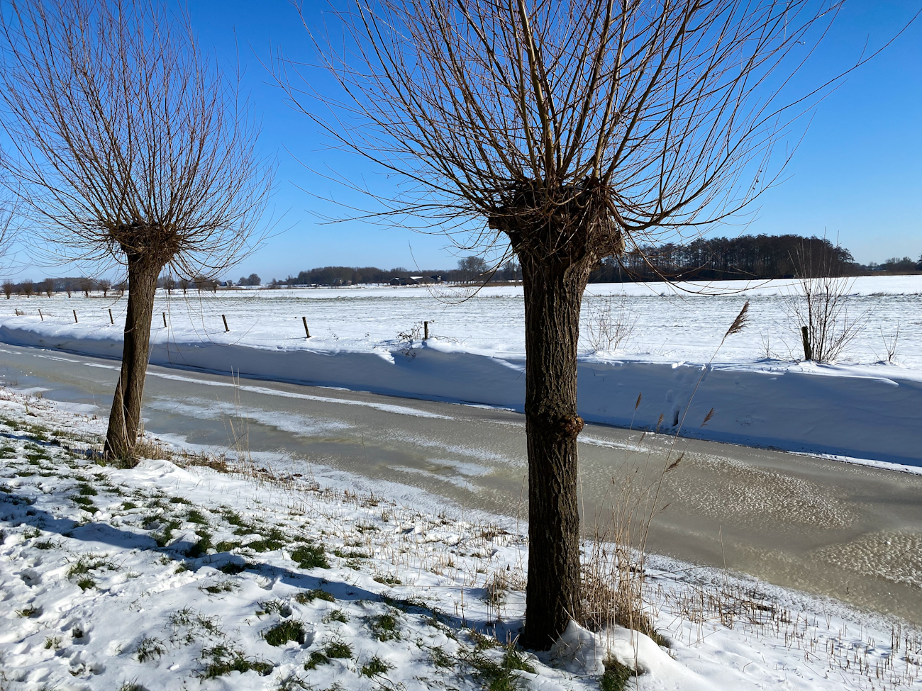 Winter in Stadshagen