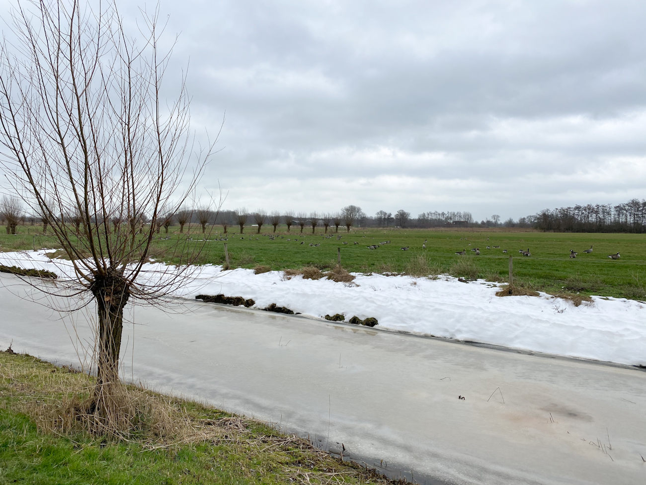 Winterdooi in Stadshagen