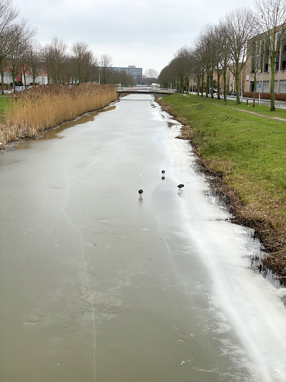 Winter in Stadshagen