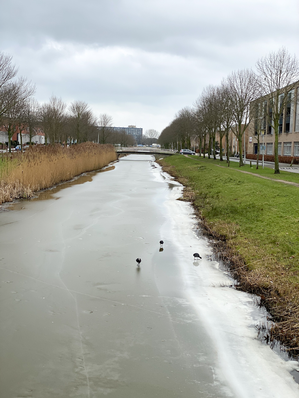 Winter in Stadshagen